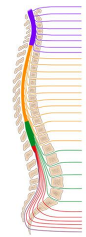 0401kpbr-1c71-172x471.png