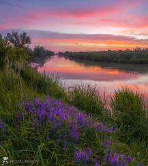 0401kq2w-0c2c-241x269.jpg