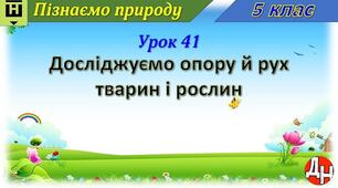 Урок 41.  Досліджуємо опору й рух тварин і рослин