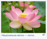 0401ks3l-76c5-151x128.png