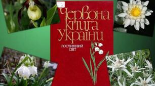 Заняття "Способи збереження природи й піклування про неї. Червона Книга України".