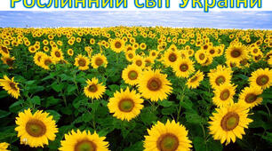  Рослинний світ України