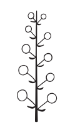 0401kt3o-30bd-63x130.png