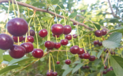 0401kt6i-7390-180x112.png