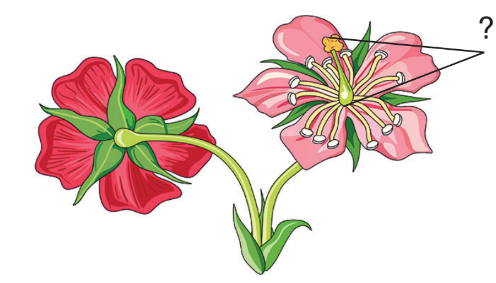 0401kt97-2ad8-496x283.png