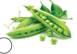 0401ktpj-369b-158x112.png