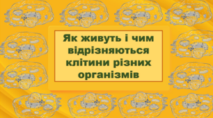 НУШ 5 клас. Презентація уроку "Як живуть і чим відрізняються клітини різних організмів".