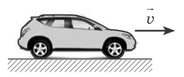 0401kuzh-15fd-763x319.jpg