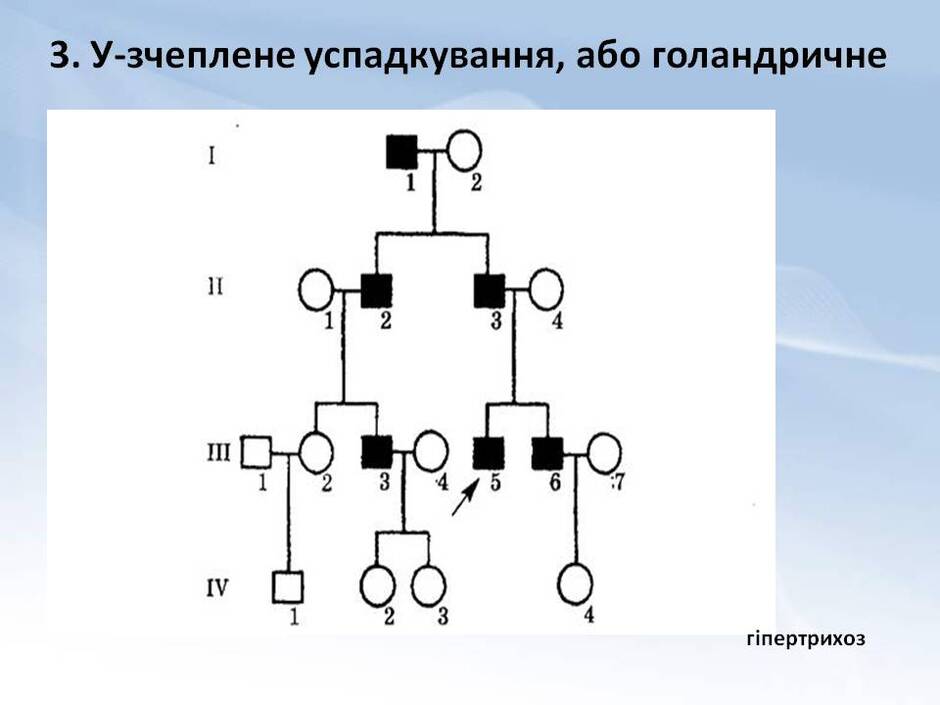 0401kv5c-cbeb-940x705.jpg