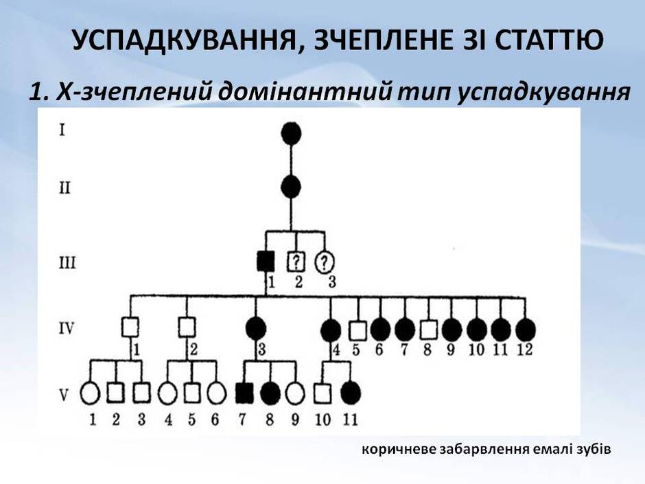 0401kv5d-020d-940x705.jpg