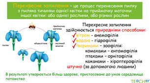 Запилення. Запліднення