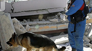Ліквідація наслідків надзвичайної ситуації 
