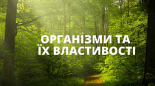 Презентація до уроку у 5 класі "Організми та їх властивості" (За Коршевнюк)