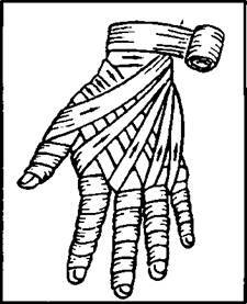 0401l05h-e0e3-225x277.jpg