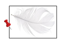0401l05w-15da-275x173.png