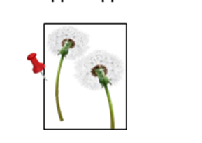 0401l065-d9a4-289x204.png