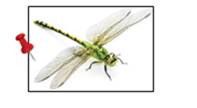 0401l06h-6c33-282x155.png