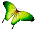 0401l278-26a8-154x122.png