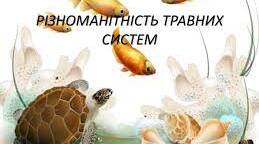 Різноманітність травних систем