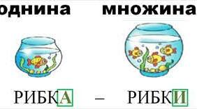 Однина множина