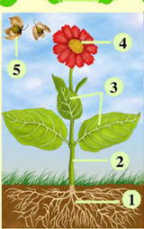 0401l4qb-ca11-160x254.png
