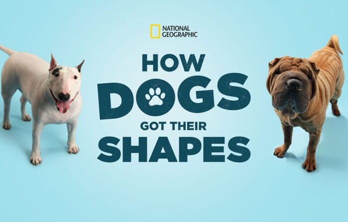 The best National Geographic documentaries to watch on Disney Plus | BBC Science Focus Magazine