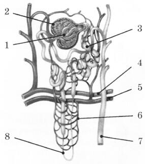 0401l7ay-9c3c-285x321.jpg
