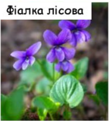 0401l84t-4eae-259x284.png