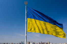 0401ldav-0381-263x175.jpg