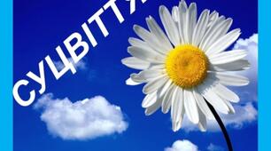 Презентація на тему :"Суцвіття"