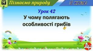 Урок 42. У чому полягають особливості грибів