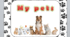 Презентація на тему "My pets"