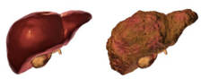 0401lfp4-2da8-224x88.png