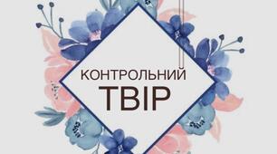 Презентація на тему: "Контрольна робота.Твір на тему "Дружба і кохання."