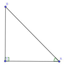 0401lizn-045e-208x217.jpg