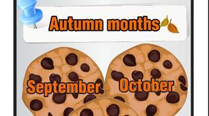 Розробка наочності "Seasons. Months"