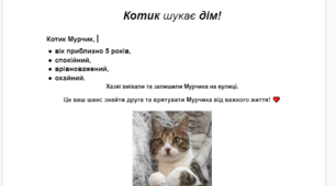 Текстовий редактор, документи Google