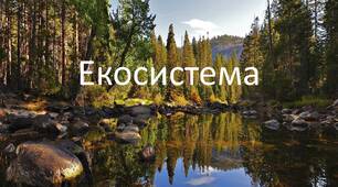  Тестові завдання з теми «Структура, властивості, різноманітність екосистем. Взаємозв’язки організмів в екосистемах»