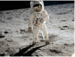 0401lnnh-b243-294x222.png