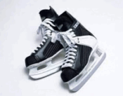 0401lnz2-506f-273x213.png