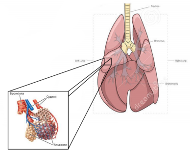 0401lo0y-482e-388x321.png