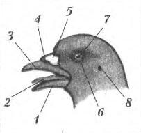 0401lowr-07a9-203x191.jpg