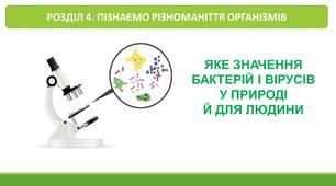 ЯКЕ ЗНАЧЕННЯ БАКТЕРІЙ І ВІРУСІВ У ПРИРОДІ Й ДЛЯ ЛЮДИНИ