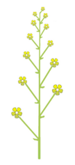 0401lqax-38f6-108x237.png