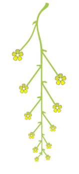 0401lqlq-b327-158x346.png