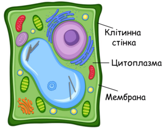 0401lqwu-72be-332x258.png