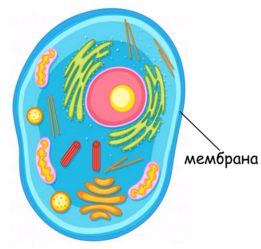0401lqza-f6b5-261x249.png