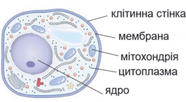 0401lr26-7e5f-381x210.png