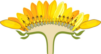 0401lr49-eb00-327x174.png