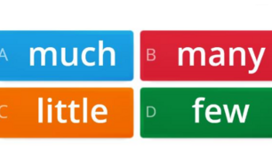 MANY, MACH, FEW, LITTLE